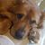 Kary Riley's profile image