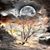 Mary Stuckwisch's profile image