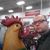 Seth Lallemont's profile image