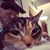 Donna LaRue's profile image
