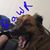 Josh Gianluigi Tomozolli's profile image