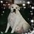Denise Murphy's profile image