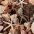 Shelley Marie Anderson's profile image