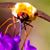 Jeremy Benisek's profile image