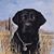 Caroline Branem's profile image