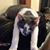 Jeffrey Eggleston's profile image