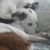 Michele Grant's profile image