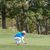 Thuy Tran's profile image