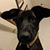 Sarah Lenard's profile image