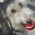 Gayle Morency-Twigg's profile image