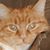 Karen Sue Faith Mason's profile image