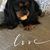 Alane Landry's profile image