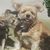 Trudy Sprinkle's profile image