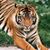 Beth Smithwick's profile image