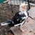 Kitty Dayhuff Moore's profile image