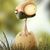 Barry Flanner's profile image