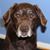 Steven Baron's profile image