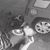 Jarrad Henthorn's profile image