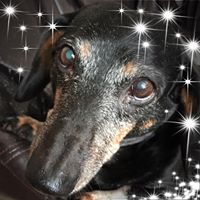 Janet Clark's profile image