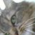 Mary Kay Moreau's profile image