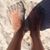 Sheri Pryne's profile image