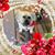 Sharon Gallagher's profile image