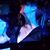 Tina Boscha's profile image