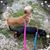 Cathy Arcand Nelsen's profile image