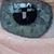 Steven Padovani's profile image