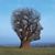 John Caplis's profile image