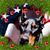 Marilyn Almy's profile image