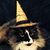 Sandy Hough's profile image