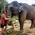 Trish Hoagland's profile image