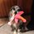 Donna Heenan's profile image