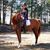 Amy Dorland's profile image