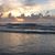 Melissa Roark's profile image