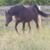Jane Boots's profile image