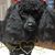 Dianne Creel's profile image