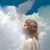 Dulce M Espinoza's profile image
