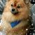 Jill Rachon's profile image