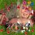 Kristine Drew's profile image