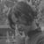 Ikhlas Nugroho's profile image
