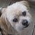 Cynthia Abney's profile image