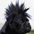 Sherrie Hunt Wollenhaupt's profile image