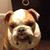 Joshua Brum's profile image