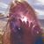 Kim Worthington's profile image