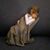 Tina Chambers's profile image