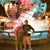 Angie Lof's profile image