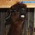 Gary Whelpley's profile image