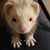 Sherry Edwards's profile image
